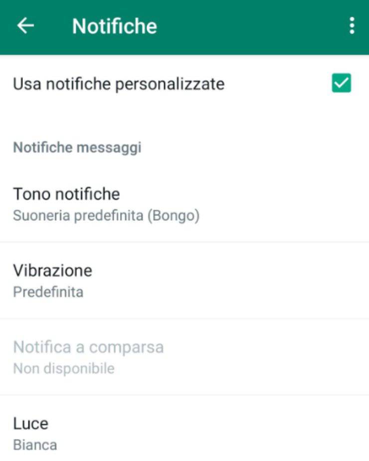 nessuno sa whatsapp