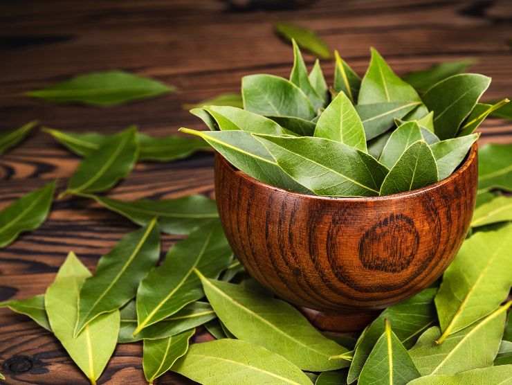 Broccoli e cavolfiori
