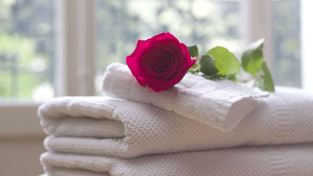 asciugamani candeggina 