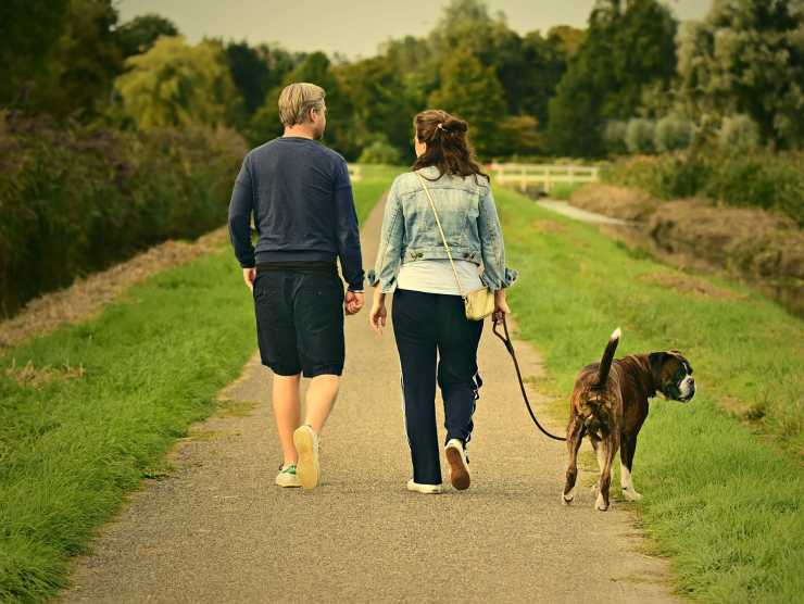 quanto costa mantenere un cane