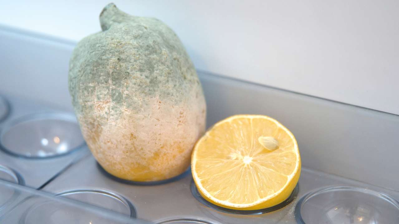 limoni ammuffiscono trucco