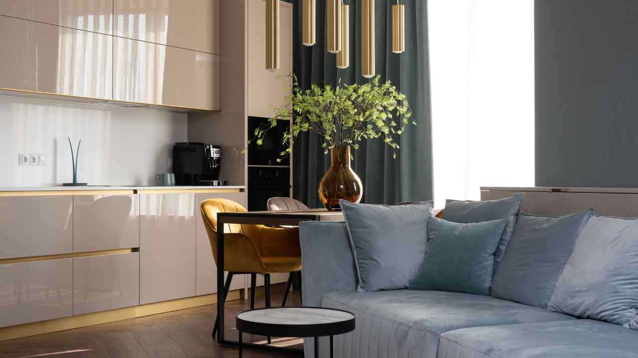 pianta appartamento velenose 