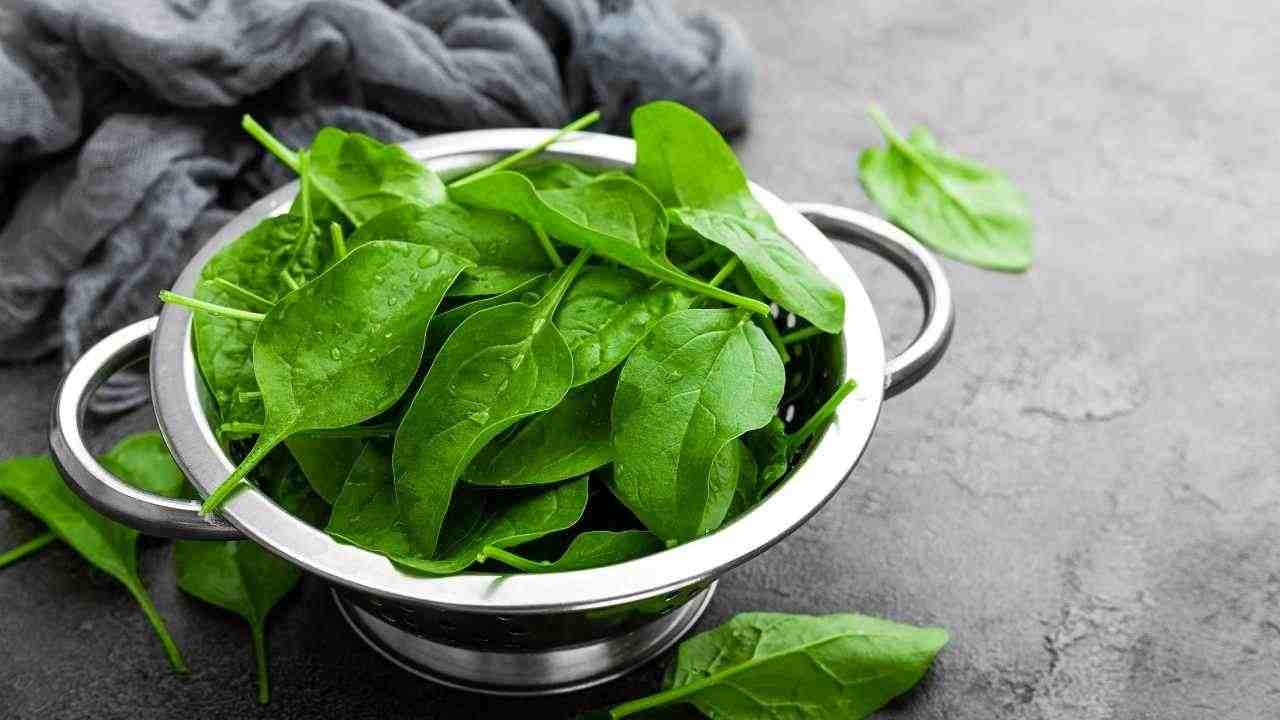 spinaci 