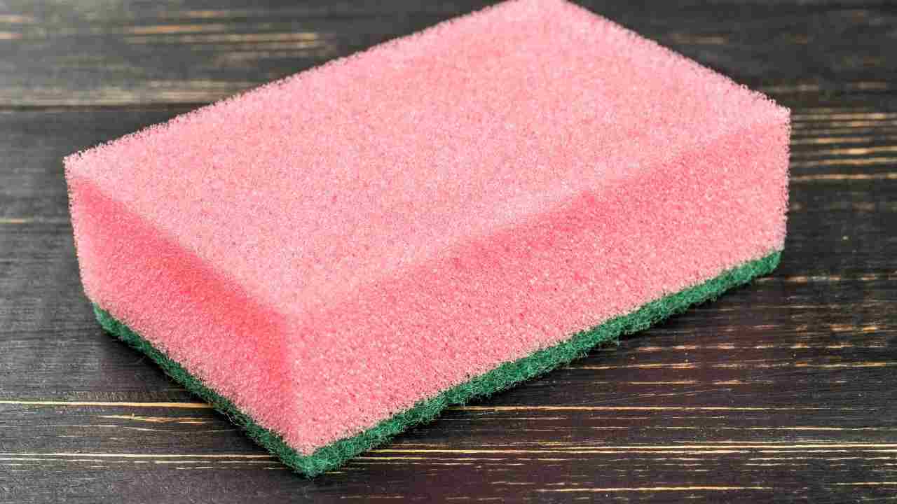 spugna piatti lavatrice