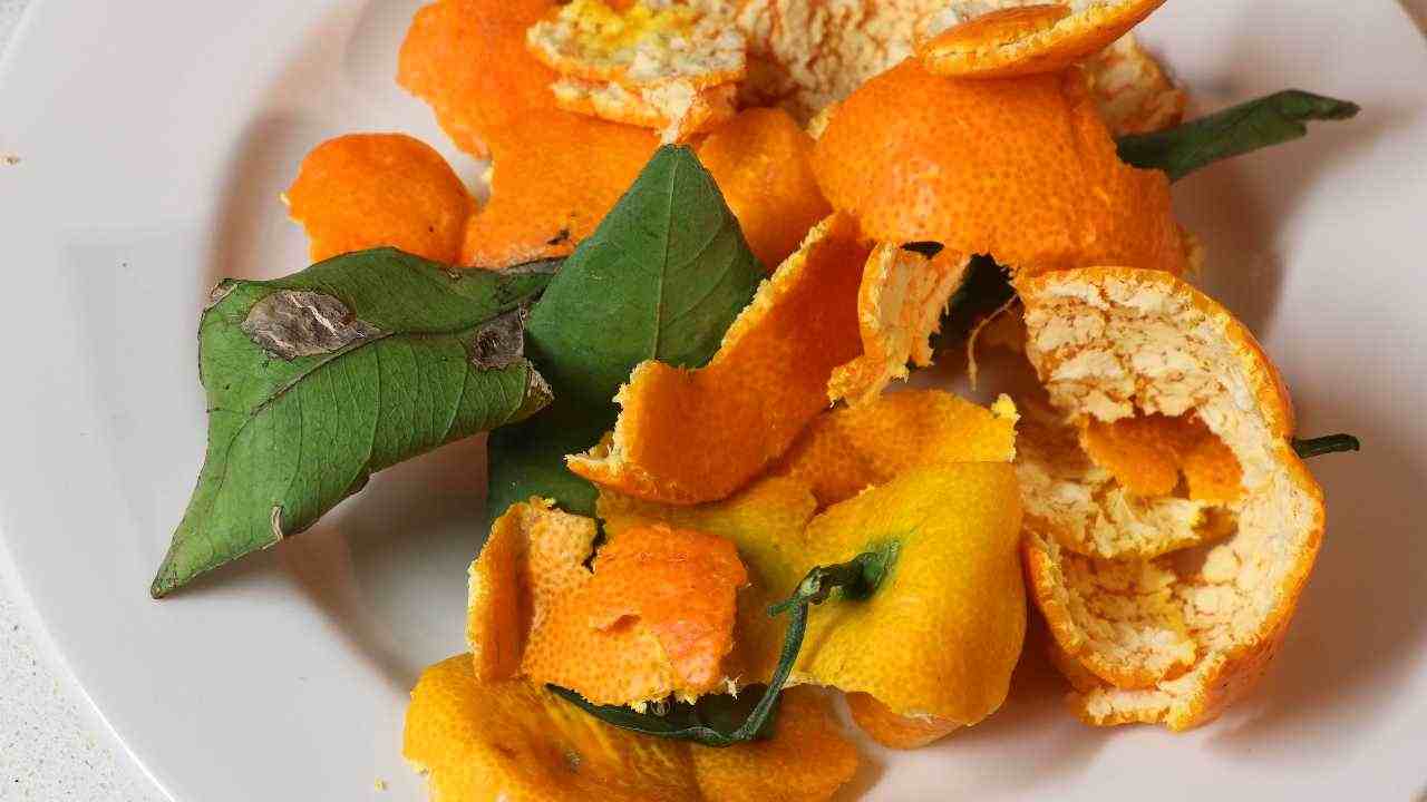 bucce mandarino