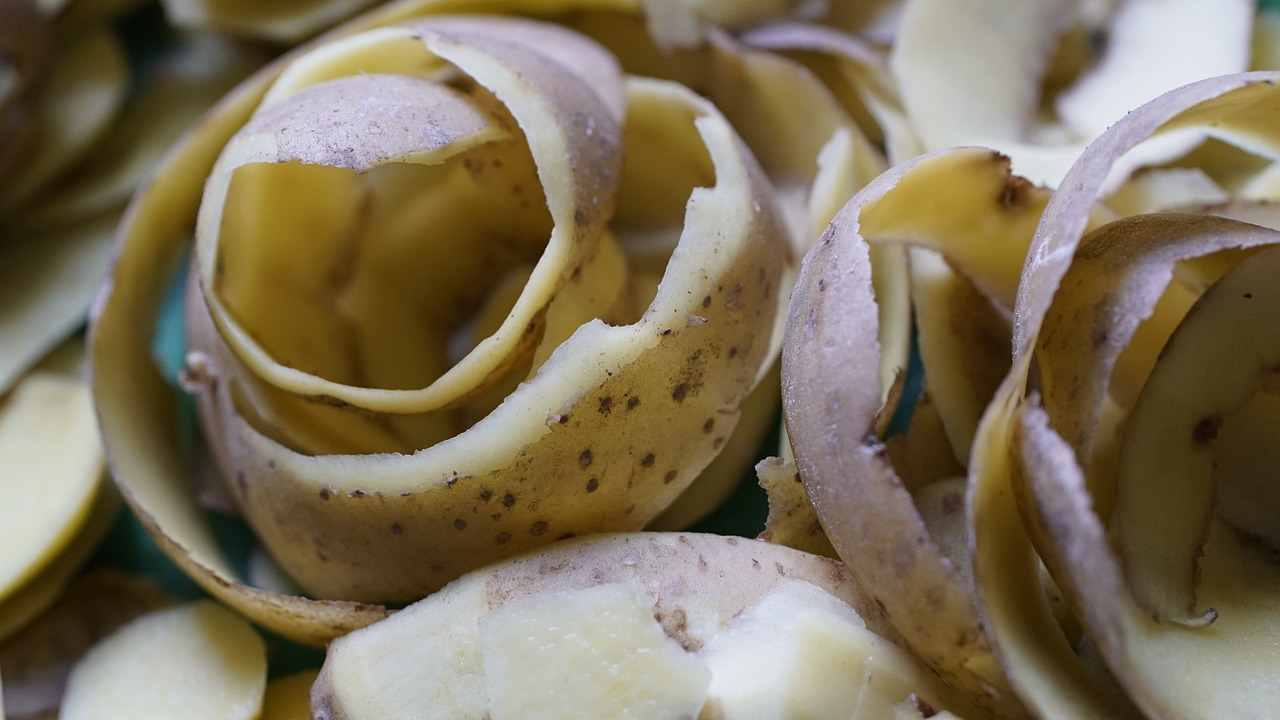 Bucce patata bottiglie