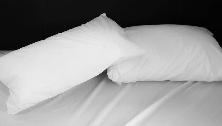 cuscini bianchi 