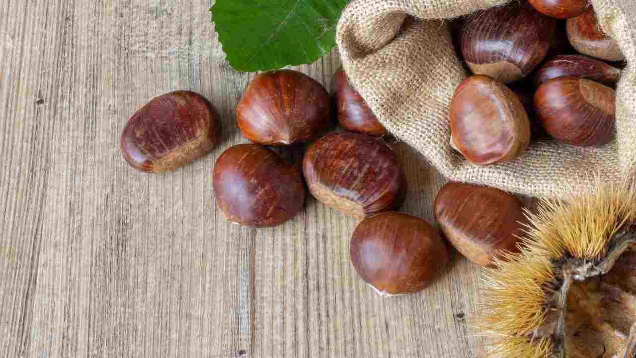 castagna davanzale finestra