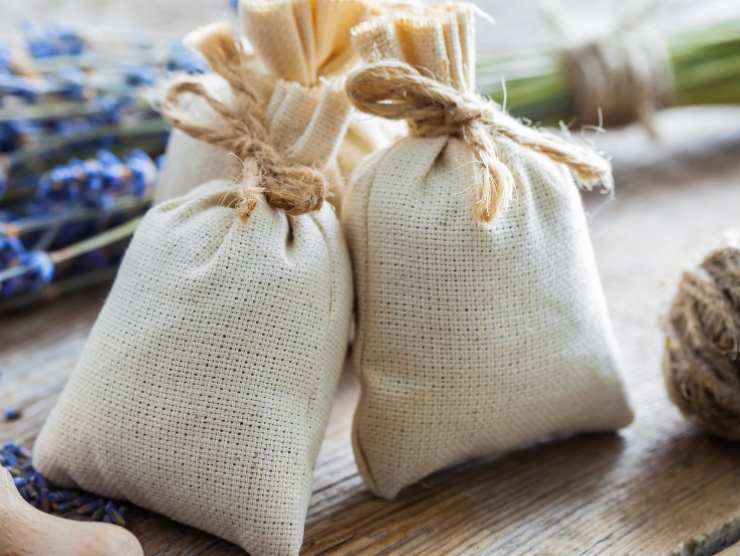 Proteggere vestiti tarme 