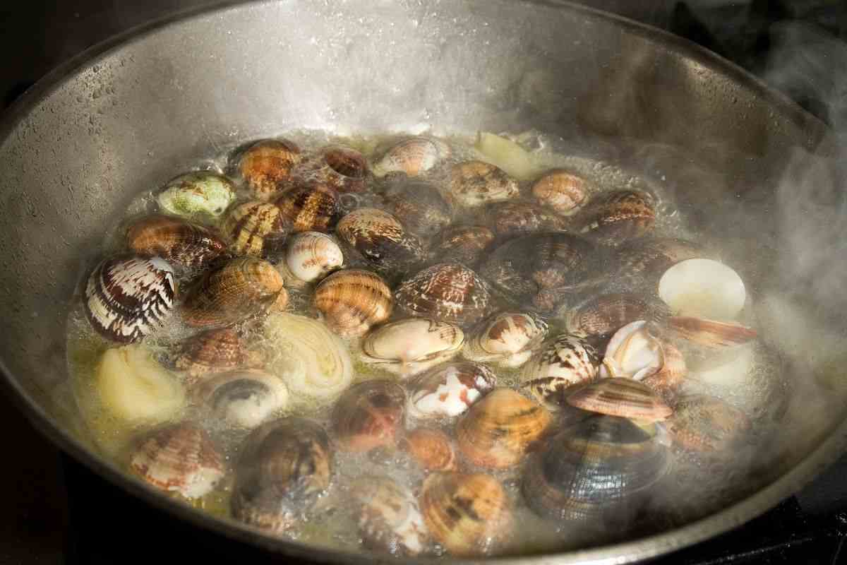 Regole per congelare le vongole