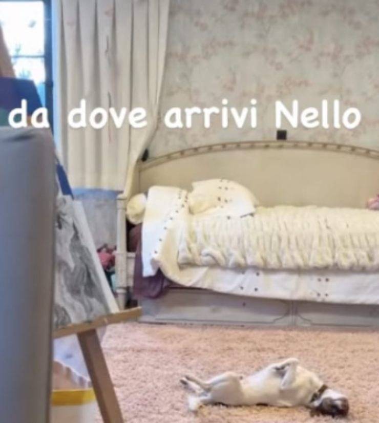 cameretta figlia canalis