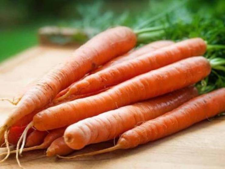 ricetta torta carote