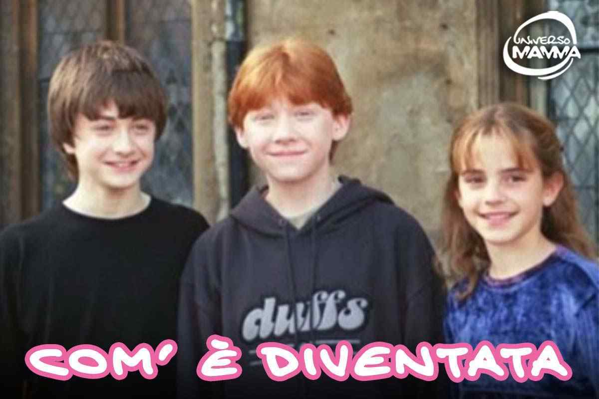 Hermione Harry Potter