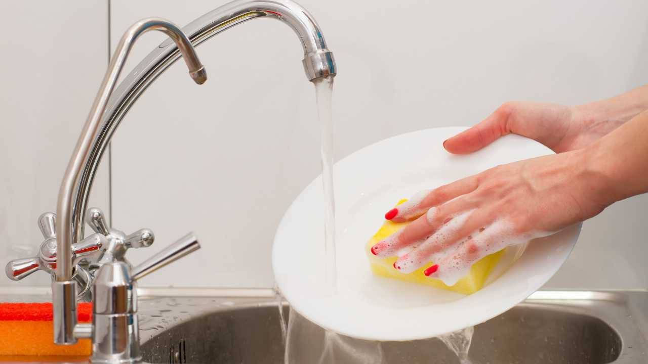 ingrediente naturale piartti