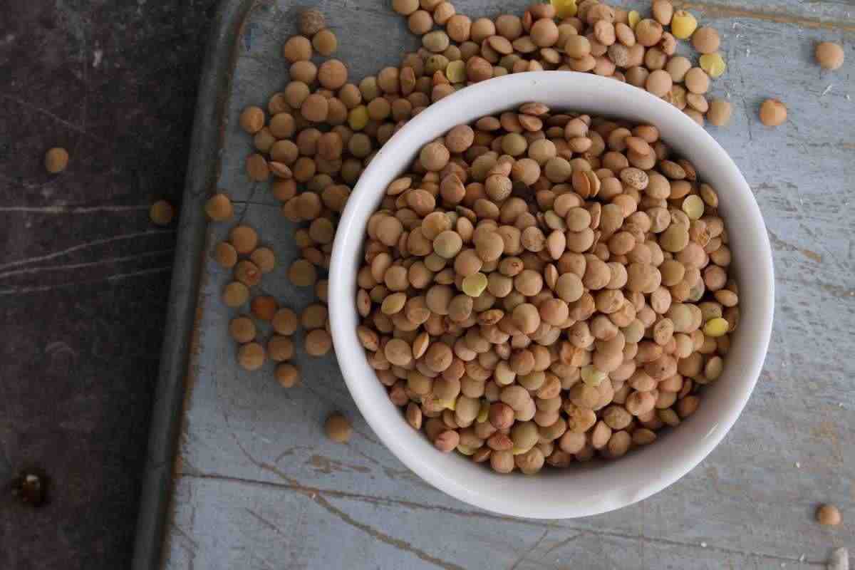 lenticchie ultimo anno