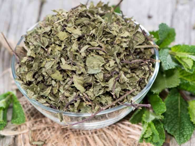 menta essiccata pancia gonfia