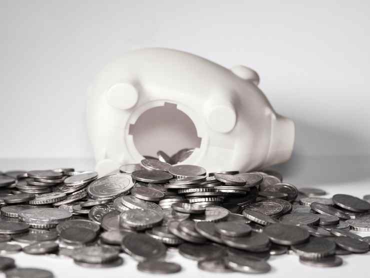 Reddito di Cittadinanza notizia