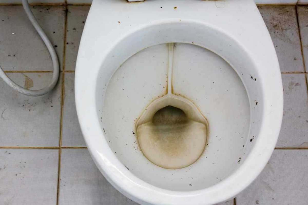 incrostazione wc rimuovere