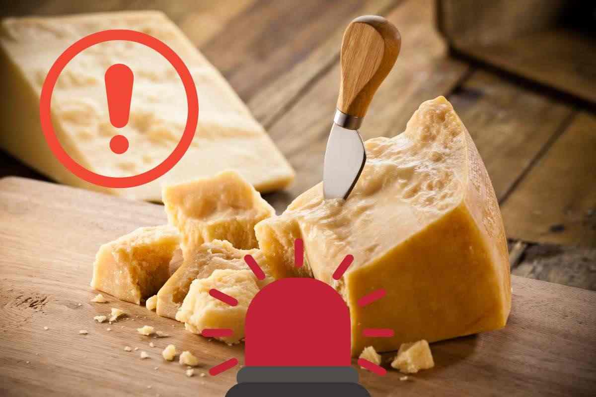 Formaggio attenzione allarme