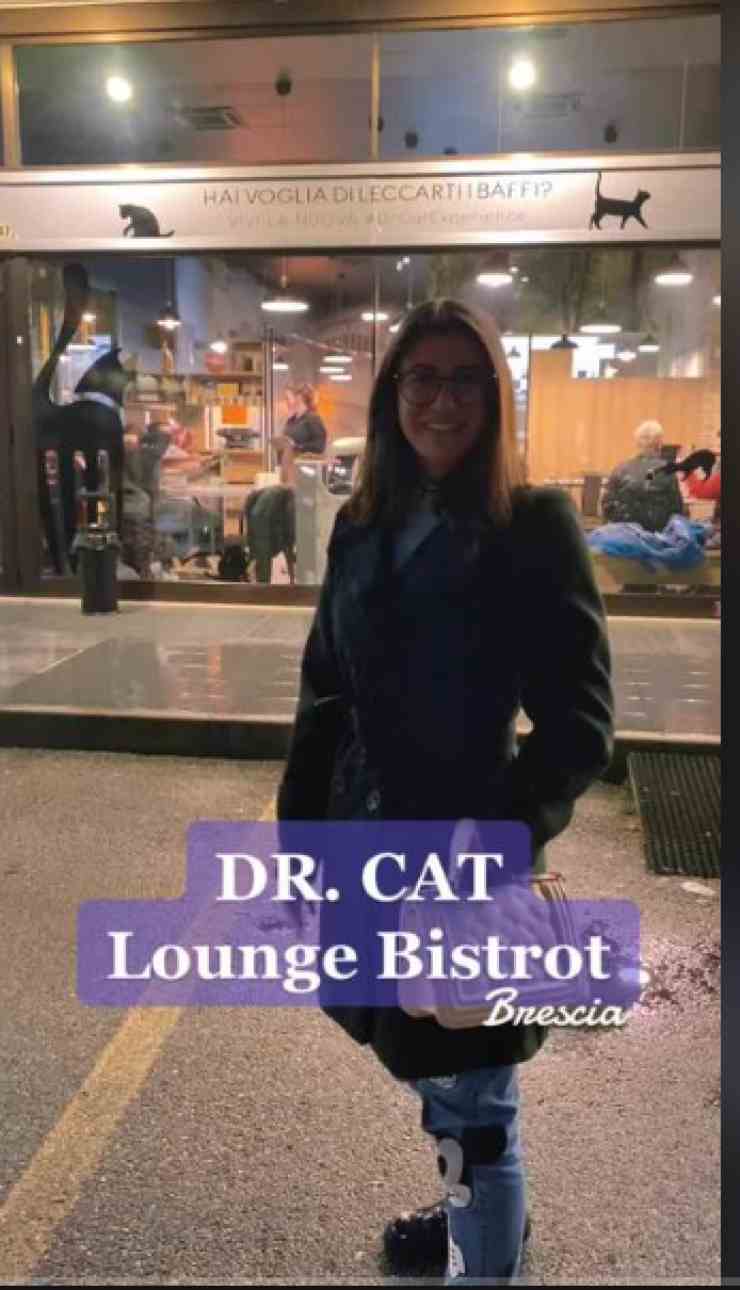 L'aperitivo speciale nel locale con i gatti (tik tok) Universomamma