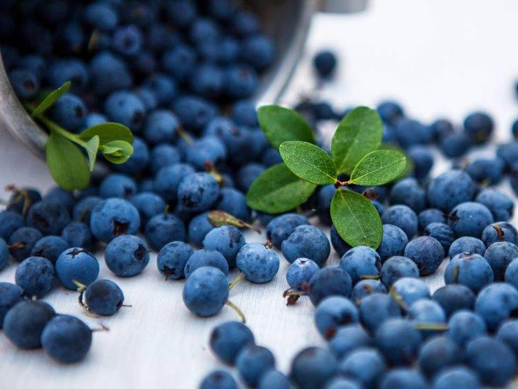 piedi freddi mirtillo