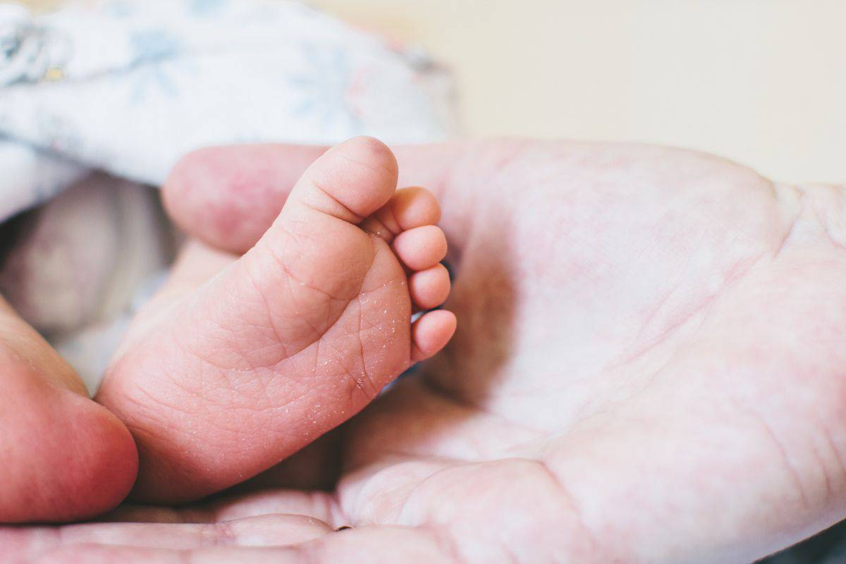 crollo nuovi nati cosa sapere