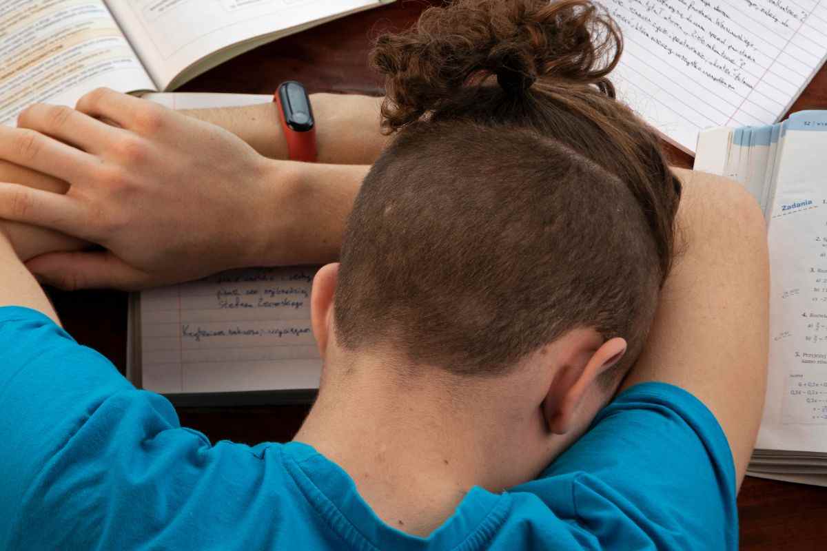 bocciati primo anno superiori motivo