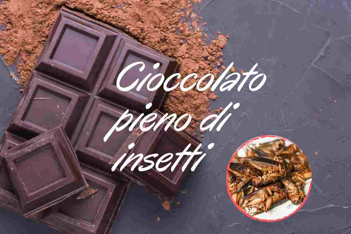 Cioccolato pieno di insetti