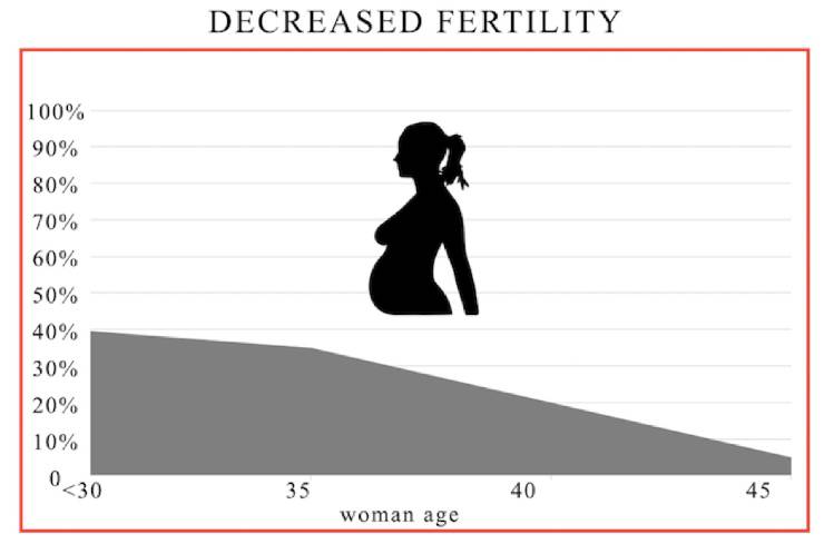 Diminuzione fertilità donna-Universomma