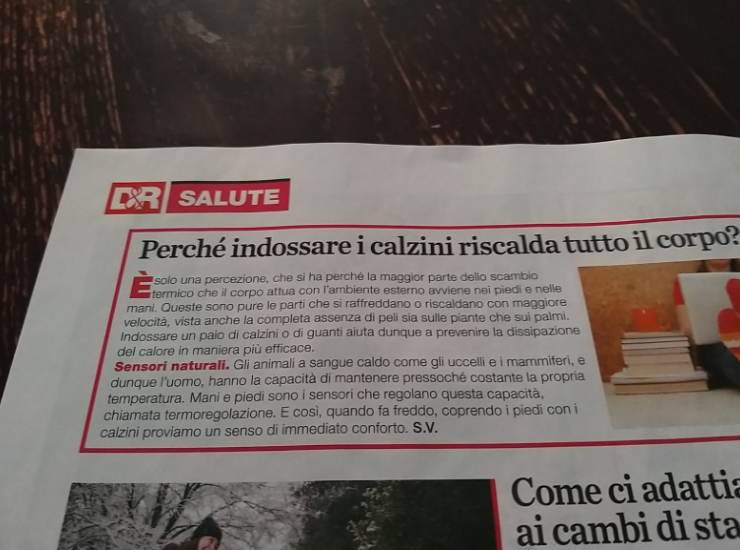 Focus, la verità