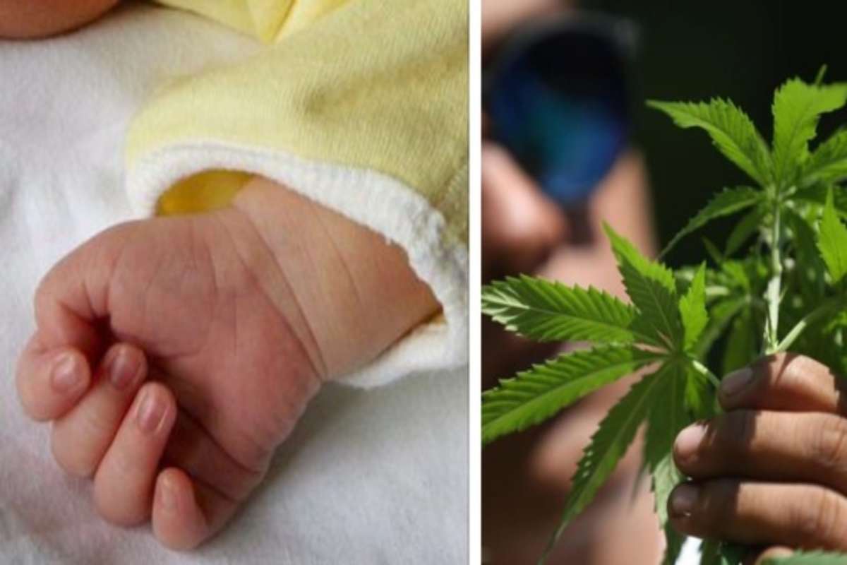 Bimbo di 18 mesi ingerisce cannabis: è grave