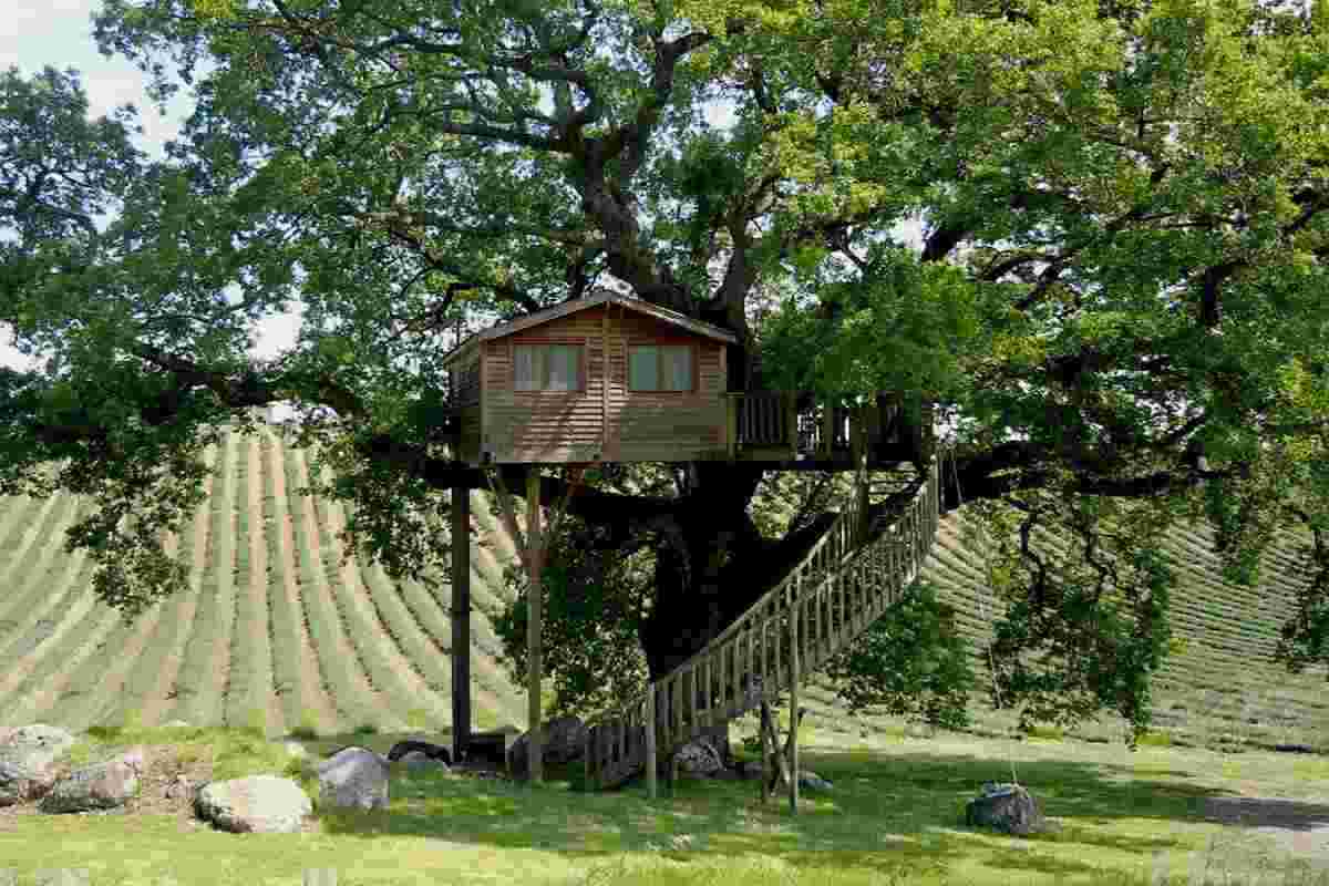 dormire in una casa sull'albero ecco dove