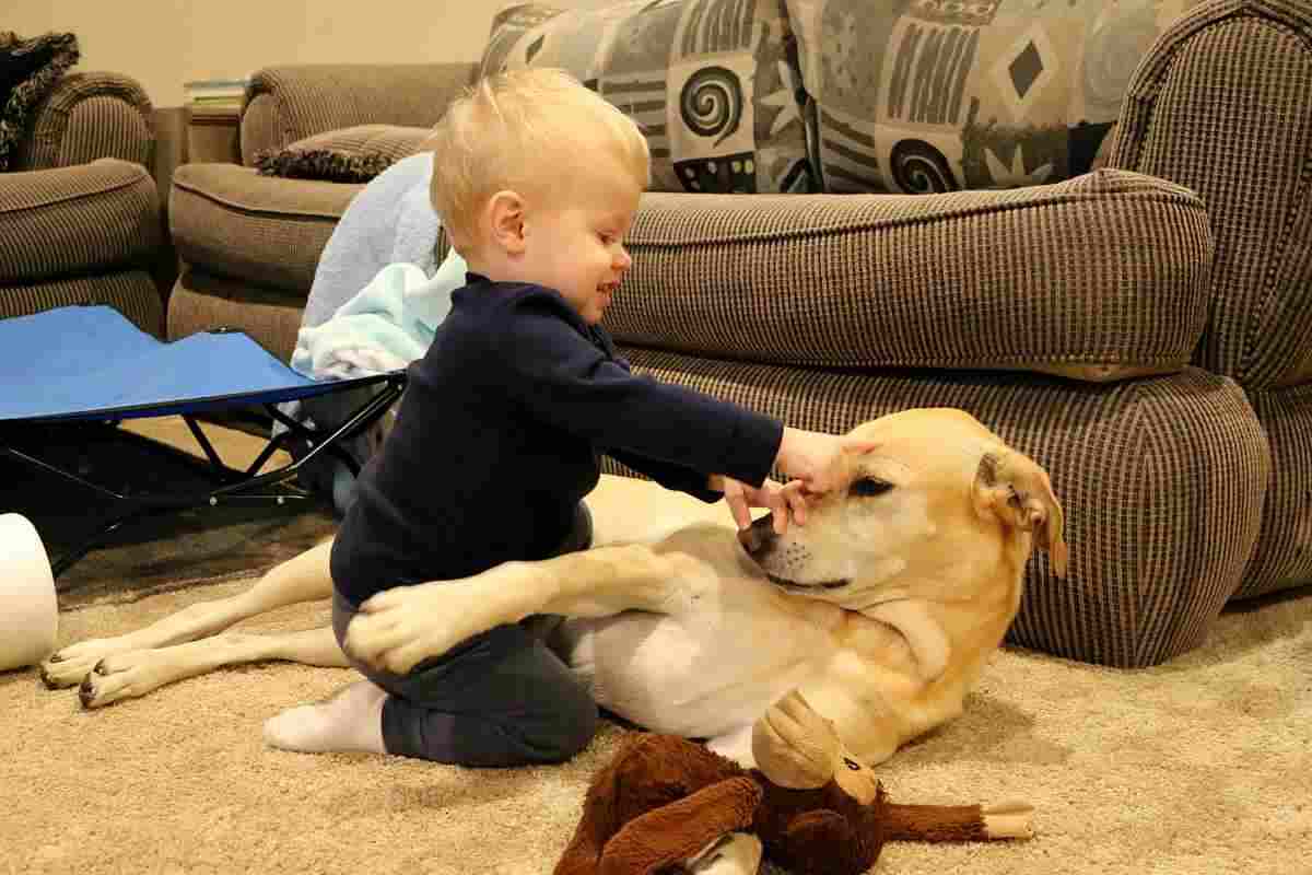 bambini più sani con animali in casa