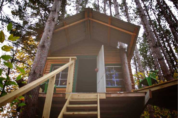 Alberghi sull'albero: quali i più belli in Italia