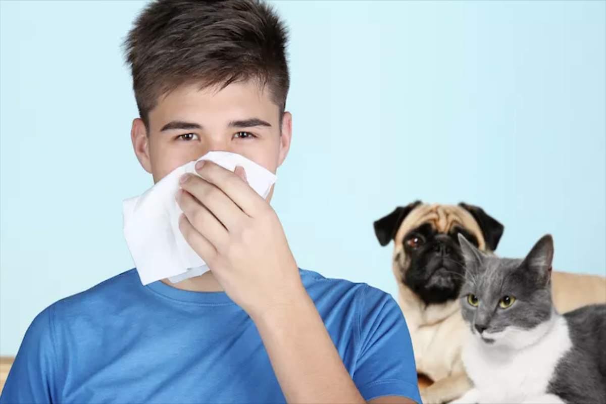 Allergia animali domestici