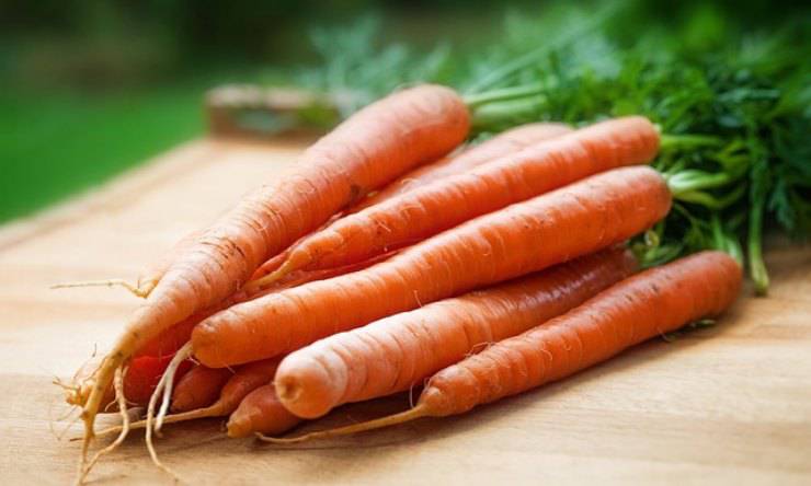 tortine camille carote ricetta