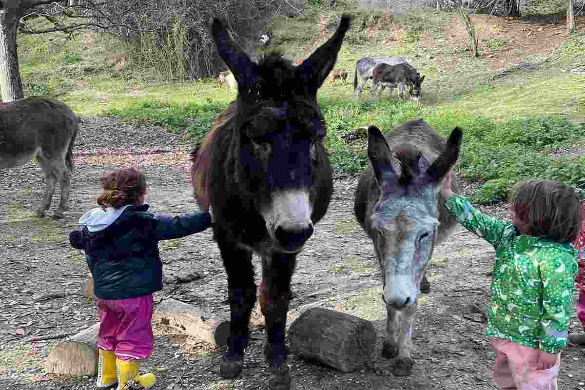 Fattoria all'ombra del Cupolone