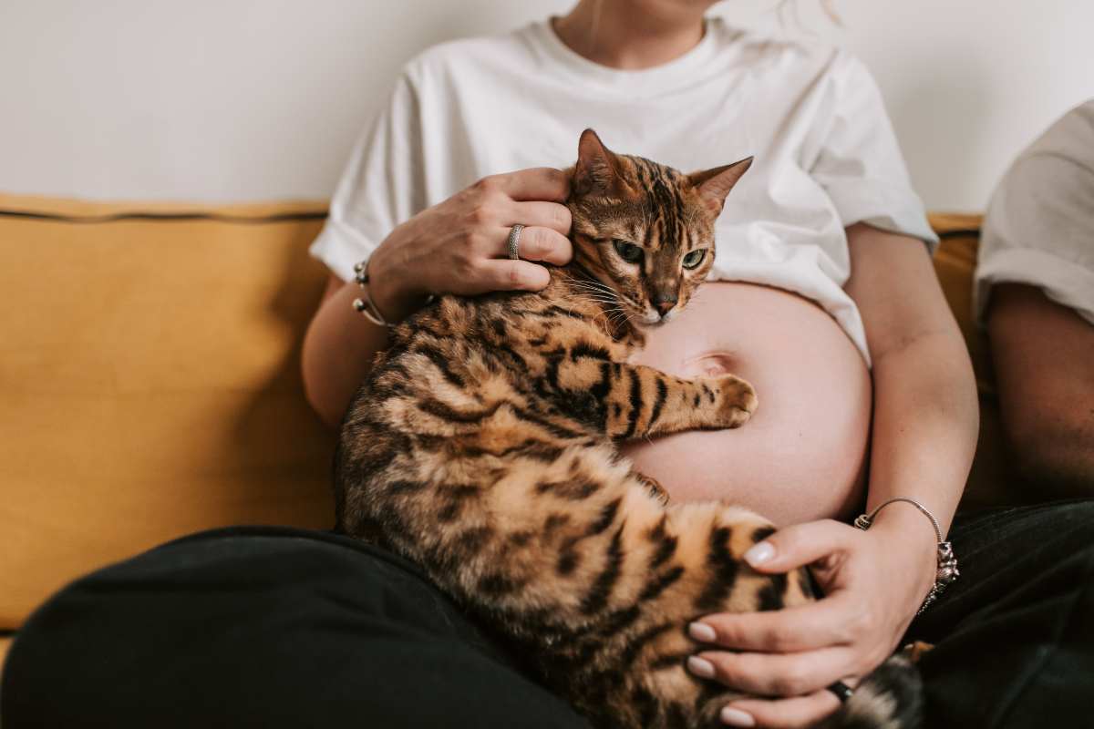 Gravidanza e toxoplasmosi: cosa si deve sapere