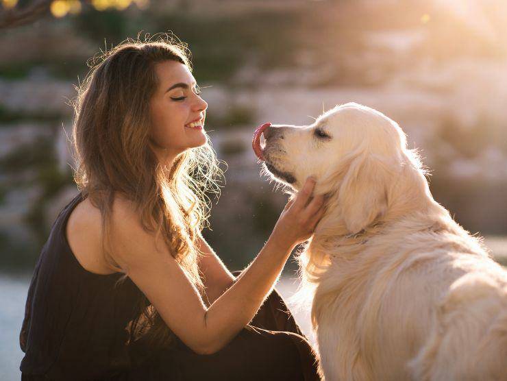 gravidanza isterica cane