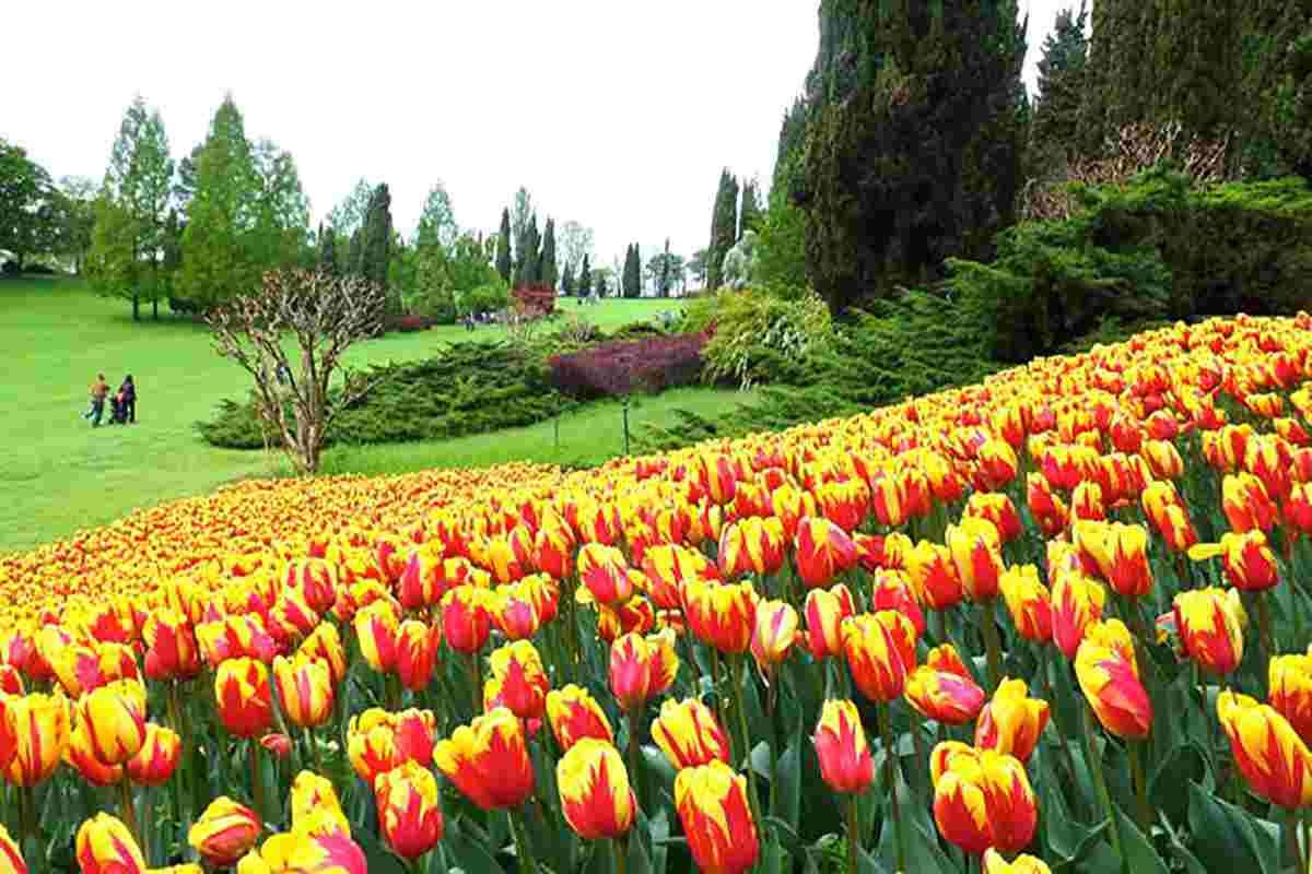 Il parco più bello d'Italia