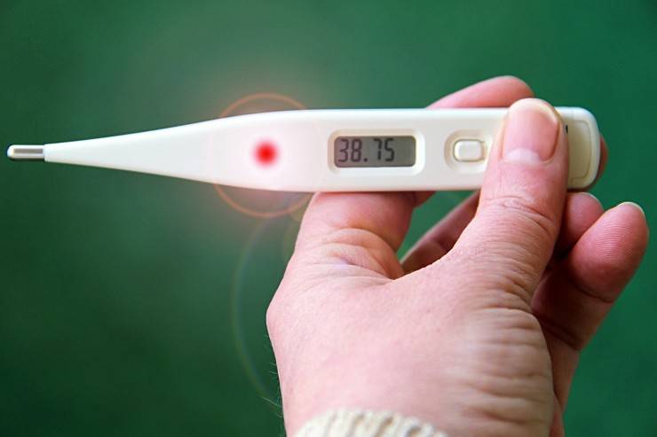 Scopriamo quali sono i nuovi importi INPS 2023 per i congedi di malattia, maternità, paternità e tubercolosi