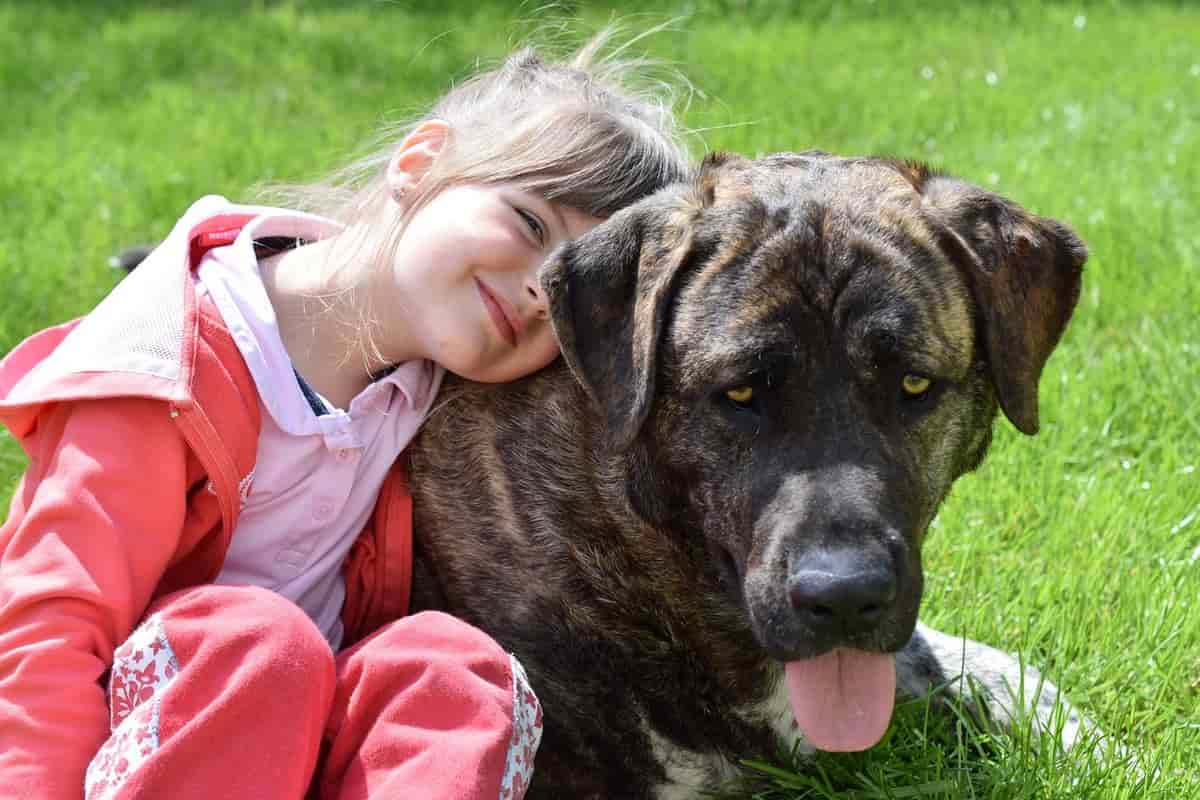 bambina con il cane