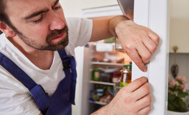 guarnizione frigo igienizzare