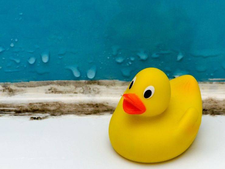 eliminare muffa dalla guarnizione in silicone