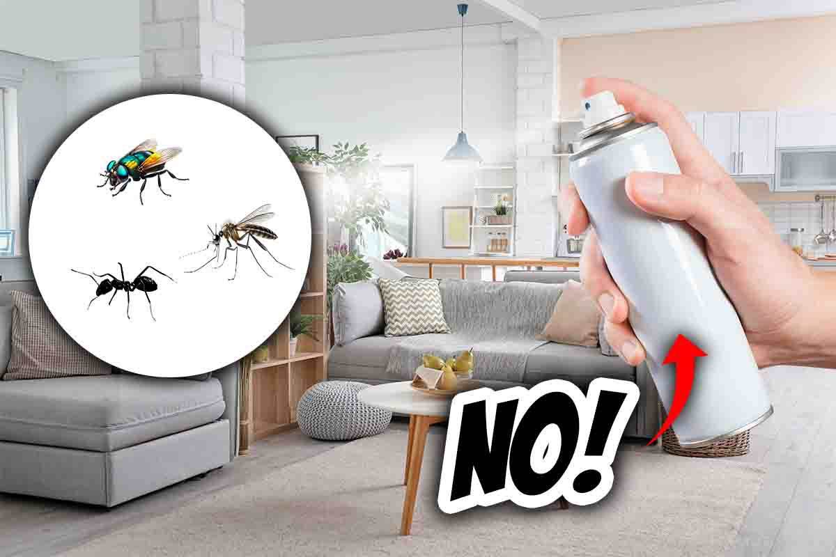 rimedio naturale mosche zanzare