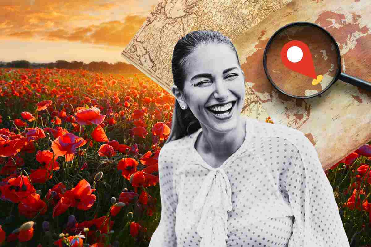 La meraviglia dei campi di papaveri: segnati questi posti dove andare