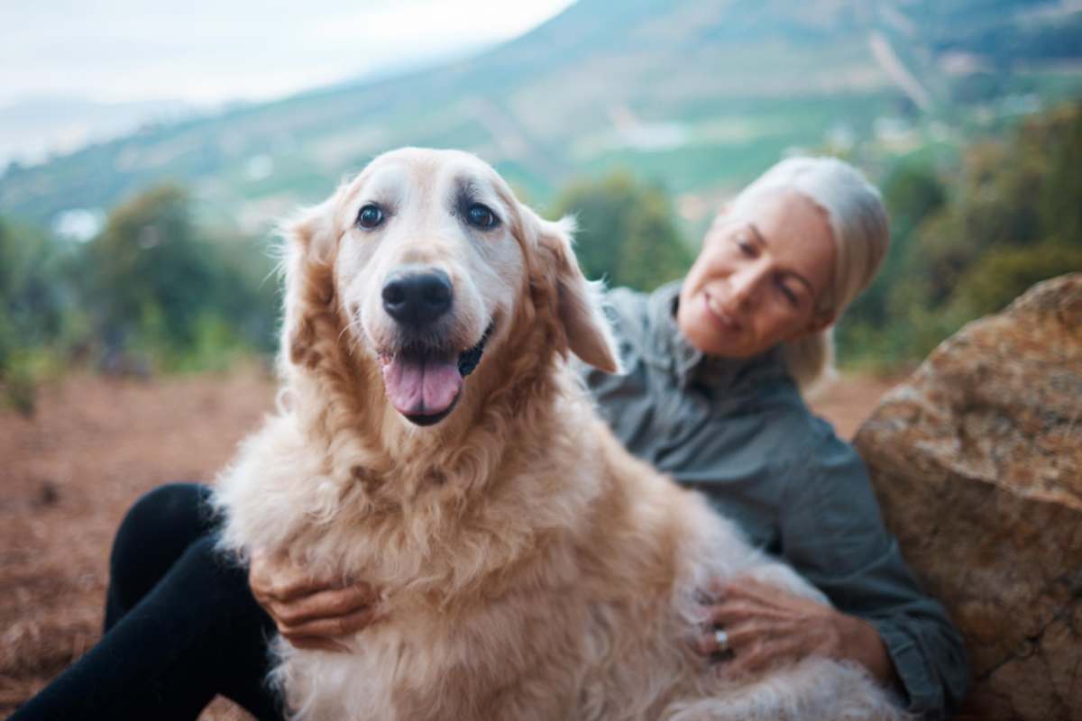 I cani vivono più a lungo