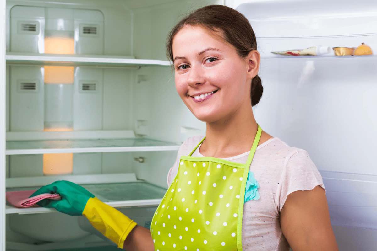 Pulizia del frigorifero: perché è importante pulire questa parte