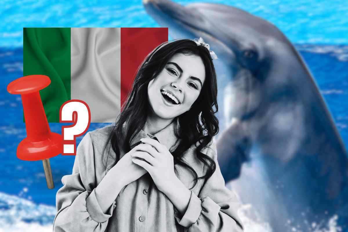 Fare il bagno con i delfini: dove in Italia