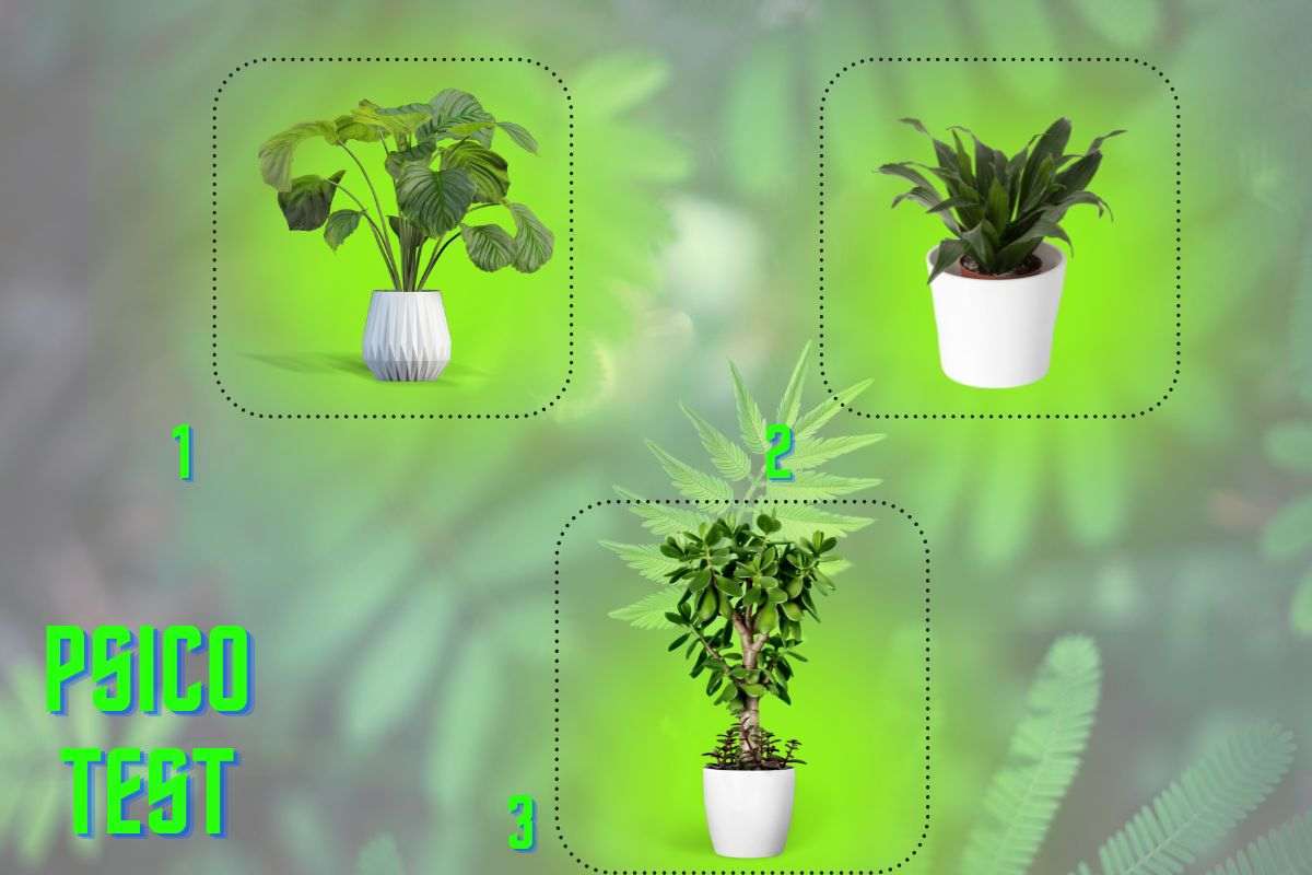 test personalità vita